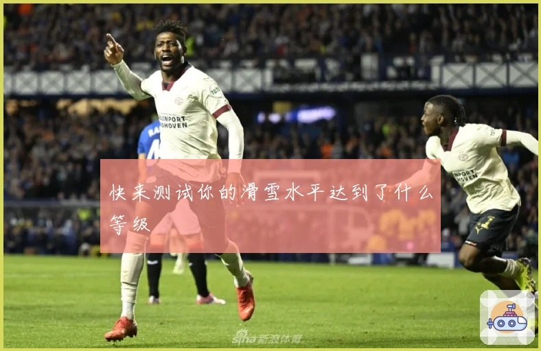 快来测试你的滑雪水平达到了什么等级