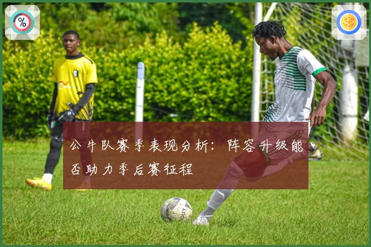 公牛队赛季表现分析：阵容升级能否助力季后赛征程